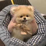 强力西瓜霜