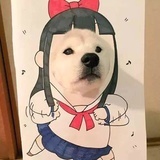 匿名用户