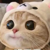可奢不费