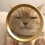 江帆