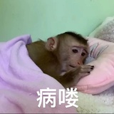 残荷听雨声