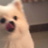 我居北海