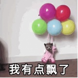 西红柿拌白糖