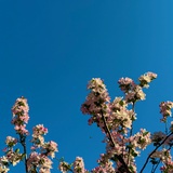 啊、丢丢走丢了