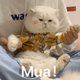 MuMu