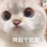 善忘