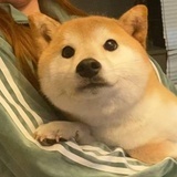 堀川