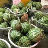 雨乱霓裳