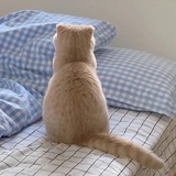 —