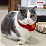 东西南北中发白