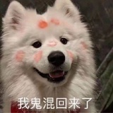 天雨