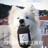 枕枕头