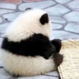一根辣条