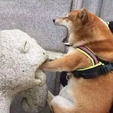 阿岛