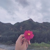 婷婷快跑