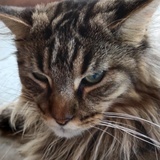 Abby