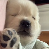 九点前就刷牙咪