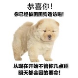 美乐蒂（黑化版