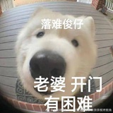 米娜桑