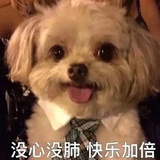 Tsuki