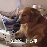 青青草原灰太狼