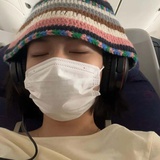 会飞的乌龟晕了