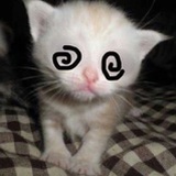 yyyyy