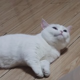 朝朝暮暮
