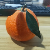橘子🍊皮