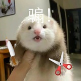 暗淡蓝点