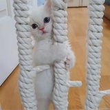 小觅。