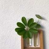和你去看海