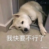 小伊的护肤日记