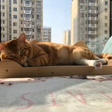 a'ゞ萌新