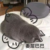 今天吃饭了吗