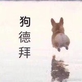 本命是白.