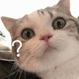 aaaaka_neko
