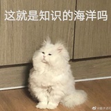看得懂