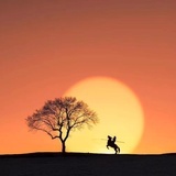 上玄玄