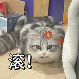 一碗碎碎冰