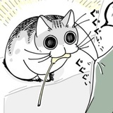 消失的宿命