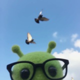 Souldove