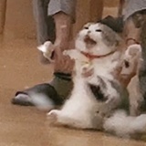西内