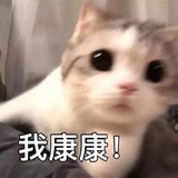 R1SE 十二