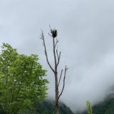 离我远点