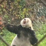 谁兴奋