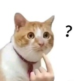 我偏要当江湖骗子