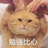 茶荼