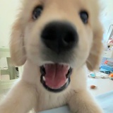 0d（休息中