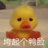 碎觉碎觉